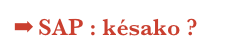 SAP : késako ?
